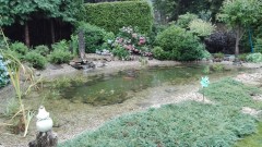 jezero na ryby