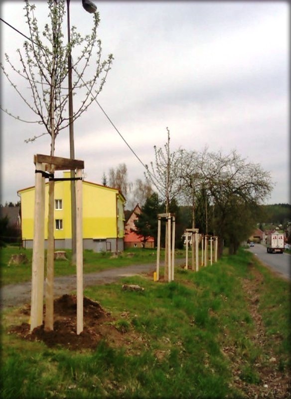 veřejná zeleň