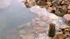 zahradní jezero